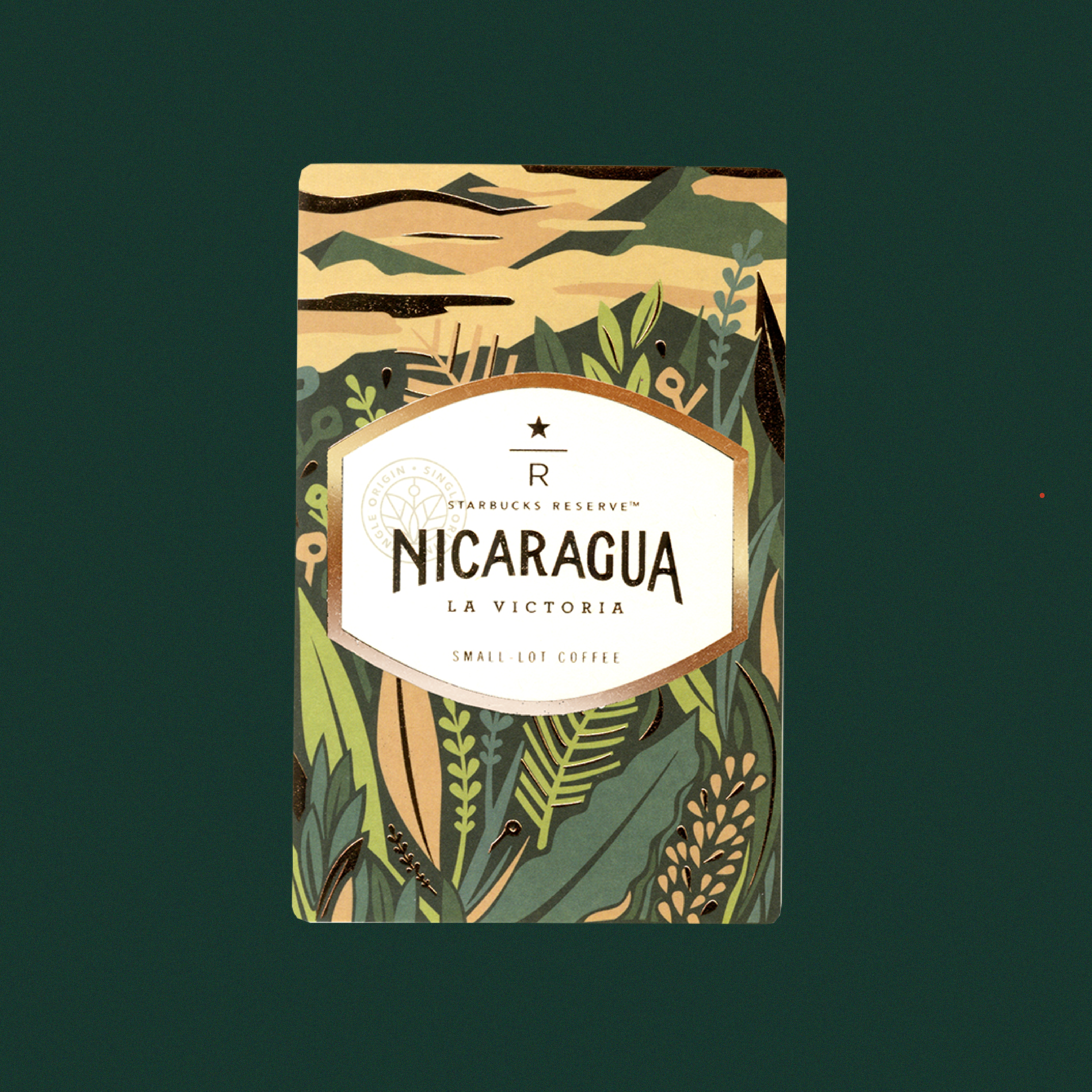 nicaragua-rsvcard-03